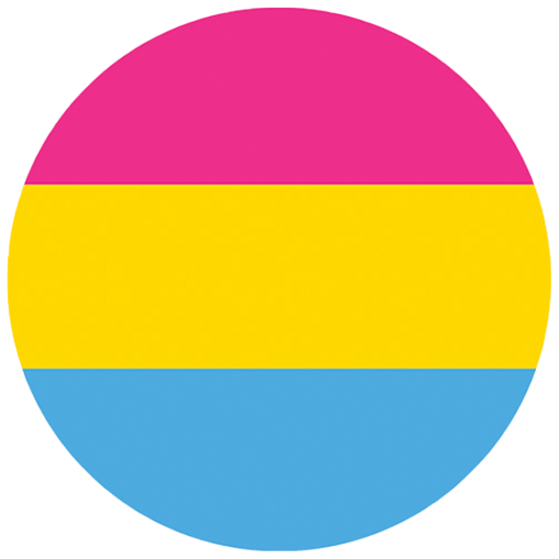 Pansexual Pin